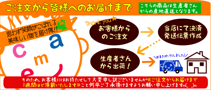 (2L〜Lサイズ 6-8本) 送料無料 長芋発祥地、ブランド産地七戸町から美白長いもを直送★ 長いも 山芋 山いも [グリーンジアース]