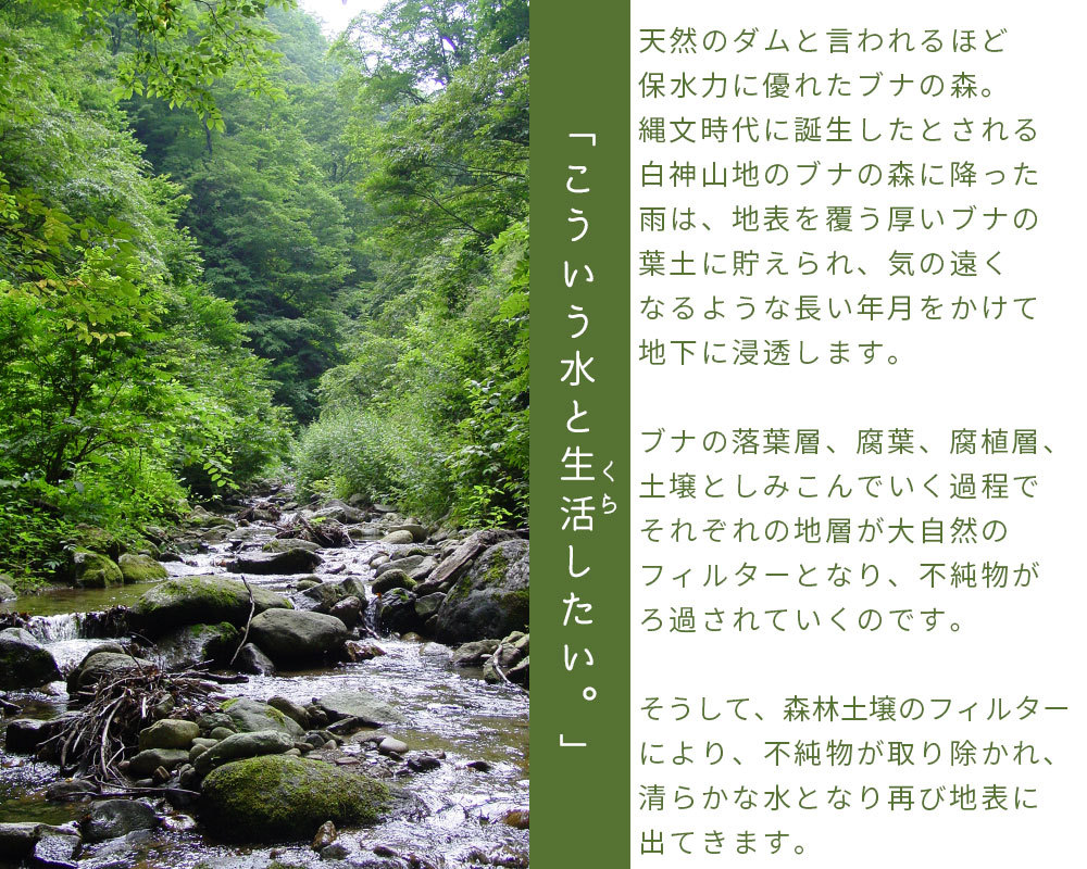 水 ミネラルウォーター 日本 世界遺産 【白神山地の水 黒ラベル500ml 