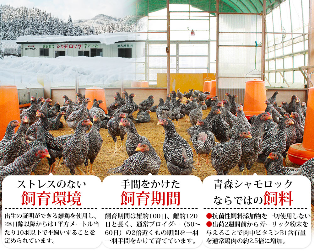 かめあし商店オンラインショップ - 青森地鶏シャモロック Yahoo ショッピング