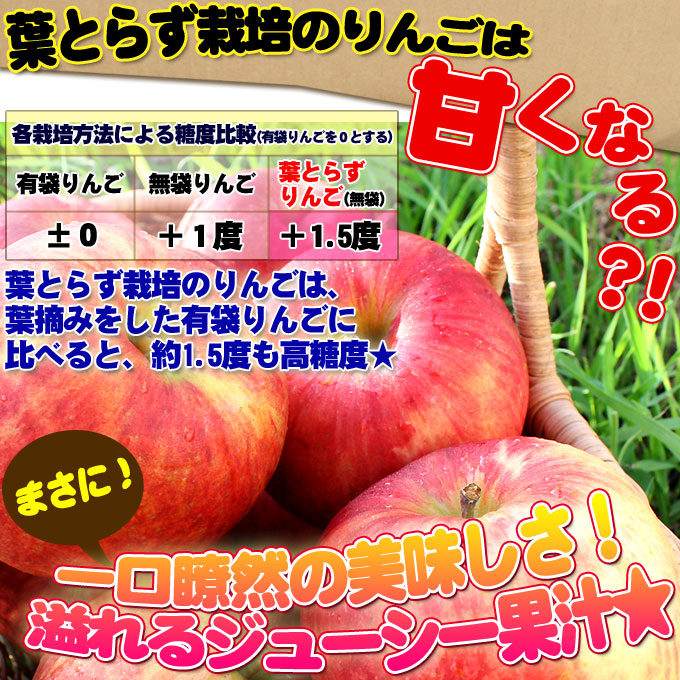 ストレートりんごジュース 30本】青森りんごランド 葉とらずりんご