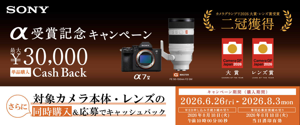 G Lens [新品]SONY ソニー FE 200-600mm F5.6-6.3 OSS SEL200600G