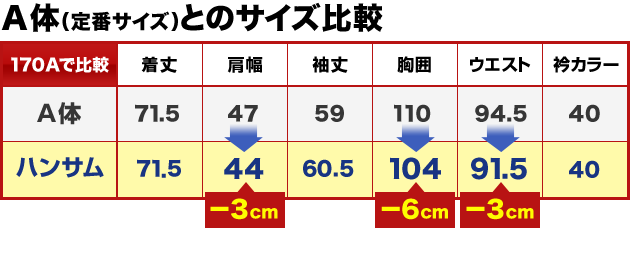 サイズ比較