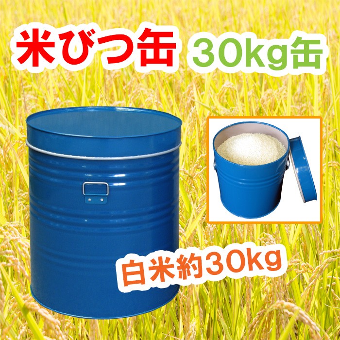 米びつ缶 30kg用 ライスストッカー 丸缶 スチール製 トタン製 ブリキ製