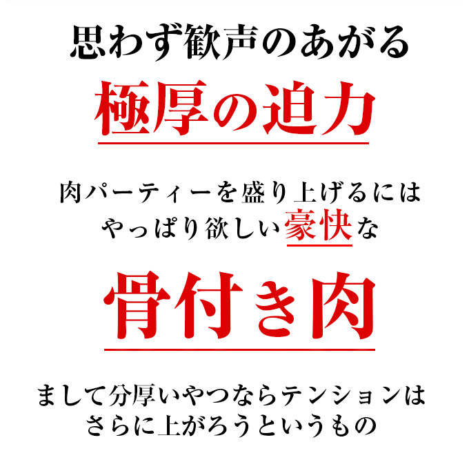 ���t���J���r ���t������ �J���r �o�[�x�L���[ �H�� �� BBQ ���t���� �ē� �Ă��� �J�i�_�r�[�t ���� �֘A�摜2