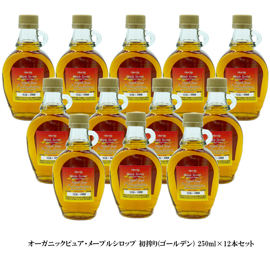メープルシロップ 250m 限定ロット 初搾り ×12本 激安 お得セット