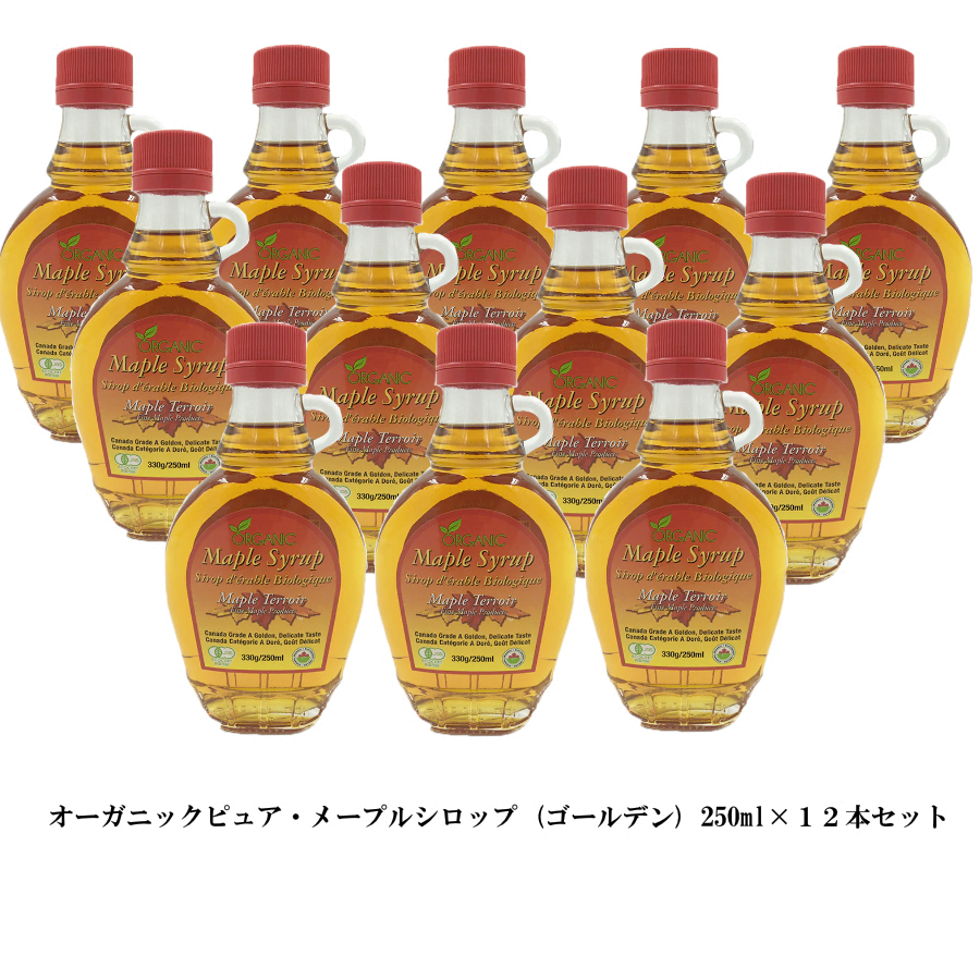 メープルシロップ 50ml カエデ瓶 激安 カナダ土産 100％ ピュア