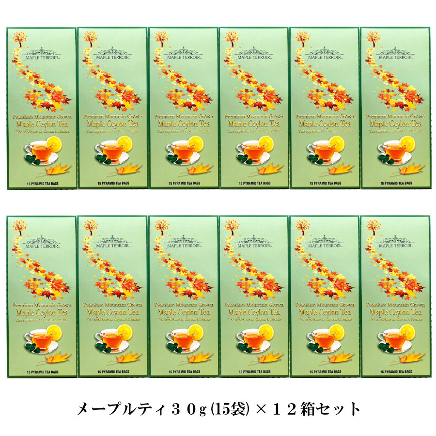 12個セット