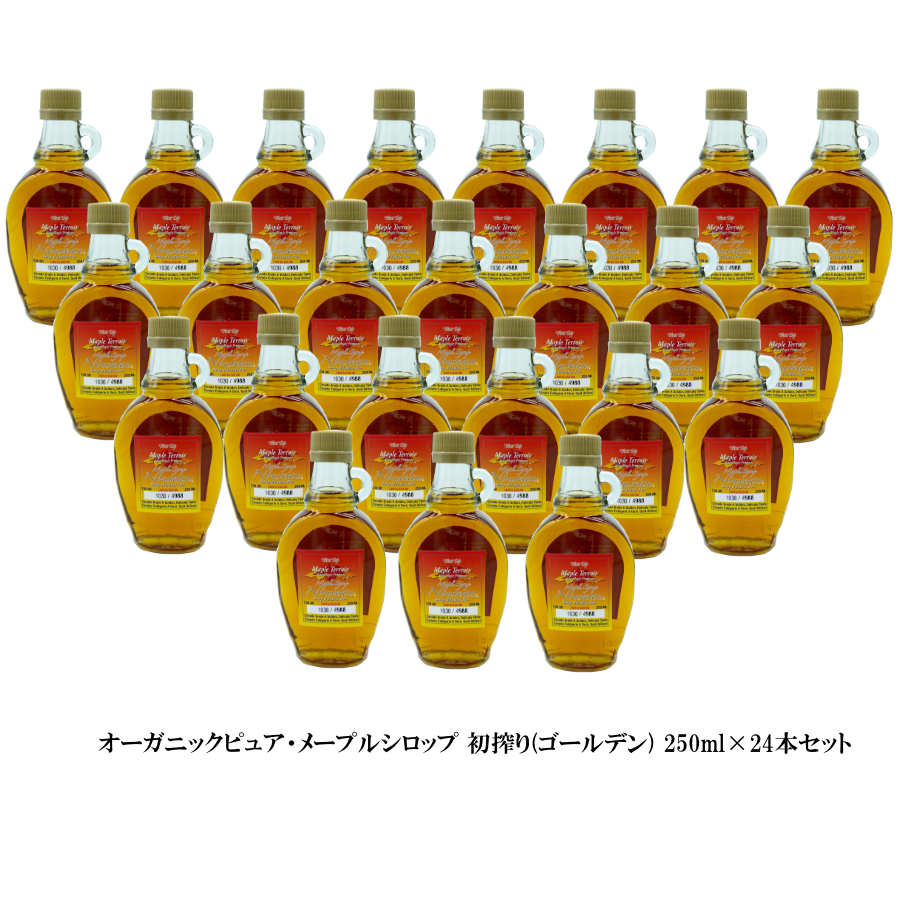 メープルシロップ 250m 限定ロット 初搾り ×12本 激安 お得セット