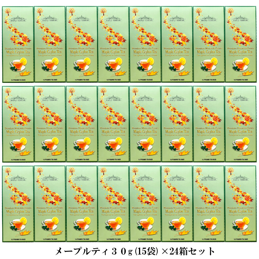 24個セット