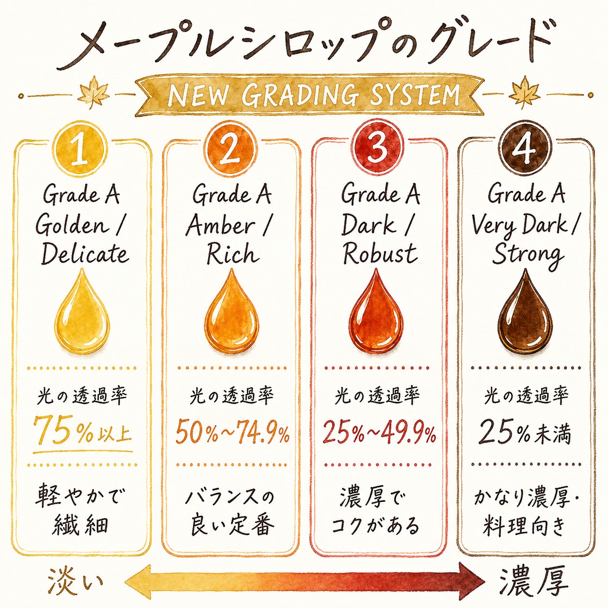 メープルシロップ 50ml 12本 セット カナダ産 100％ピュア ダーク