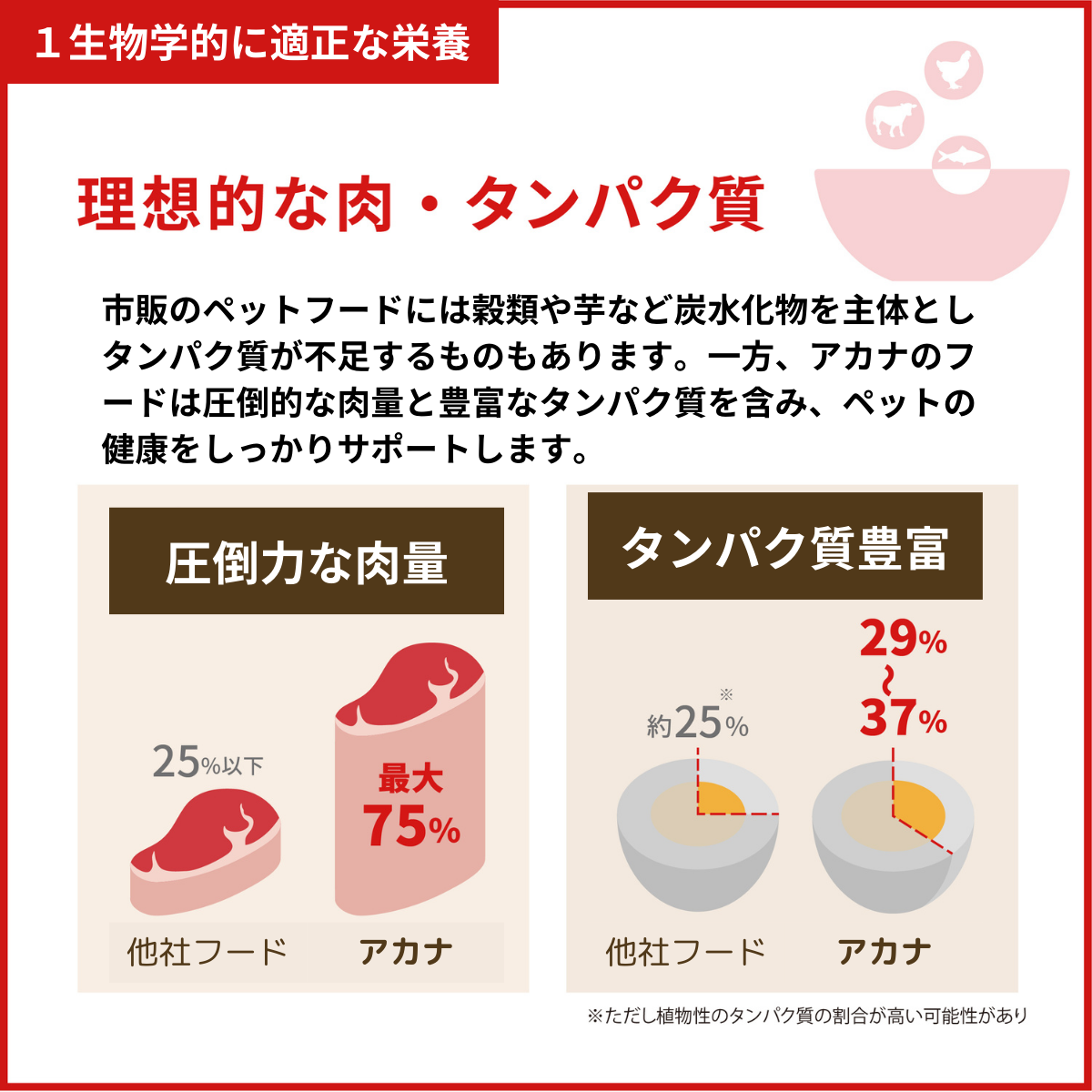 アカナ アダルトドッグレシピ 11.4kg送料無料 並行輸入品】 アカナ アダルト ラージブリード レシピ 大型犬 成犬用