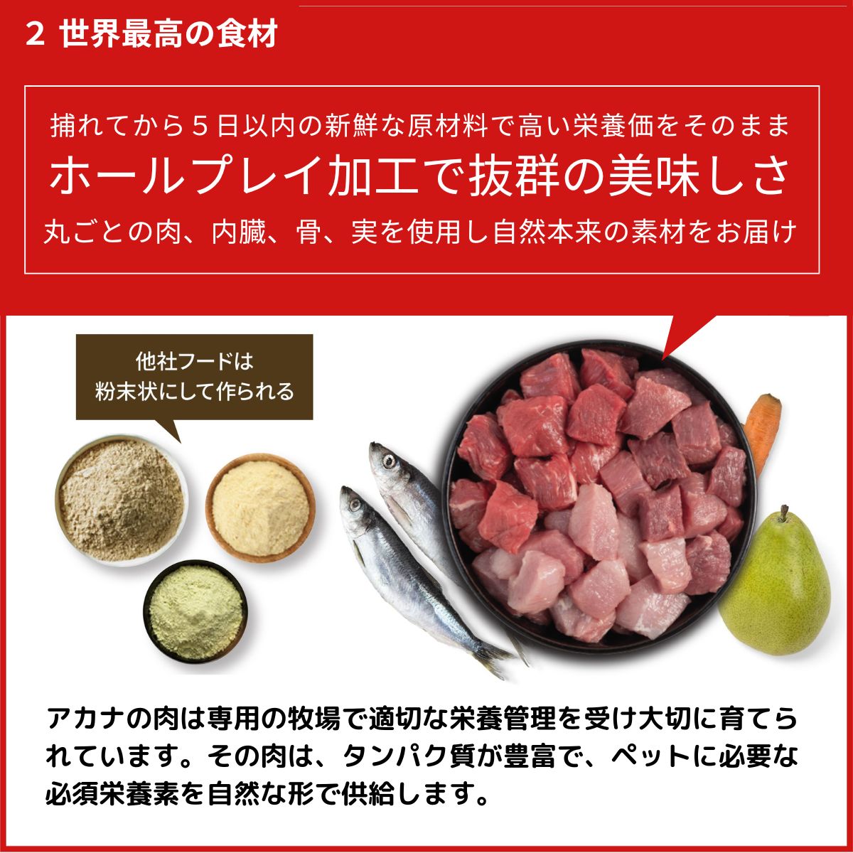 ACANA（アカナ） アダルトドッグレシピ 11.4kg 無添加 全年齢 チキン