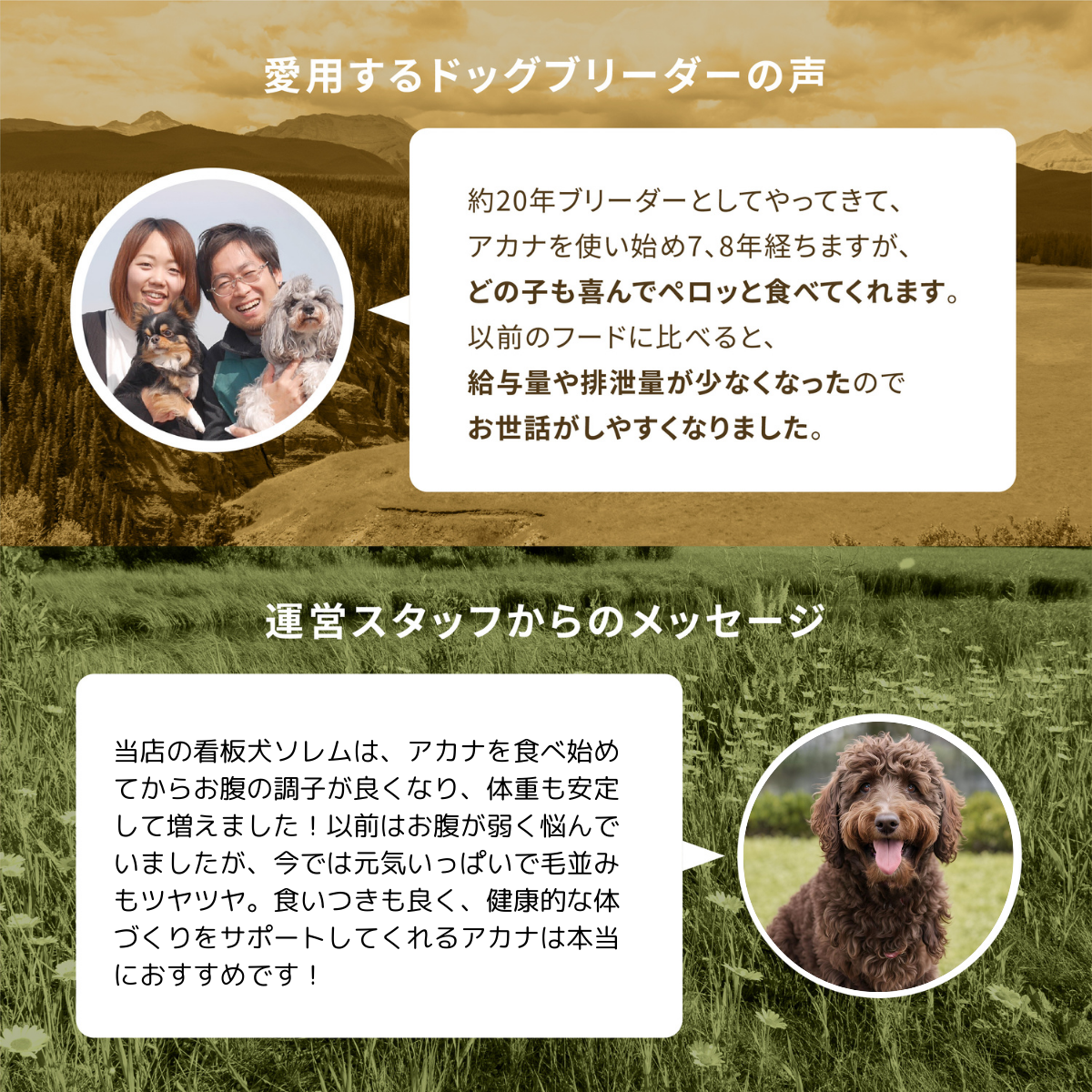 ACANA アカナ アダルトスモールブリードレシピ 6kg 無添加 小粒