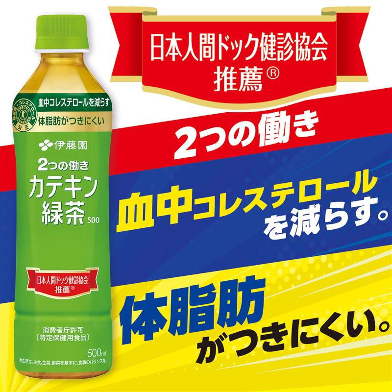 伊藤園　トクホ　お～いお茶 カテキン緑茶 PET 1L 12本　2ケース カテキン緑茶 伊藤園 お〜いお茶 1L PET × 24本［12本×2箱］トクホ 特