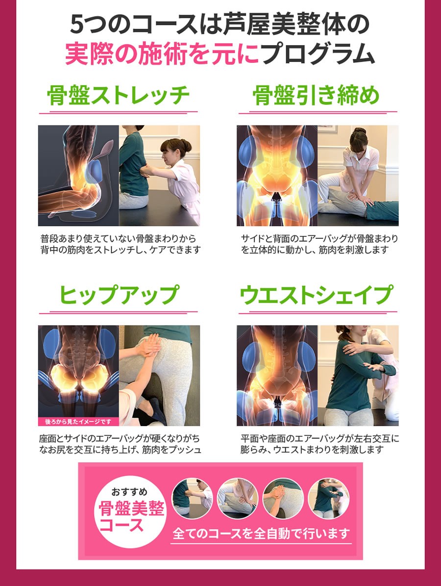 芦屋美整体 骨盤スリムスタイリーエアー (送料無料) 座椅子 チェア 