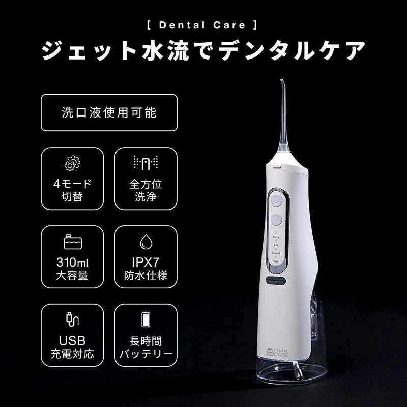 ジェット水流洗浄機付き電動歯ブラシ ジェットウォッシャー 口腔洗浄機 電動歯ブラシ 水流歯ブラシ