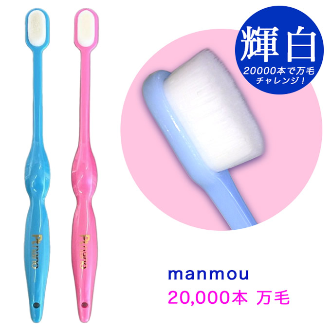 新品 正規品 manmou 歯ブラシ レギュラーサイズ ６本 プラチナナノ 歯ブラシ manmou(マンモウ) (メール便送料無料