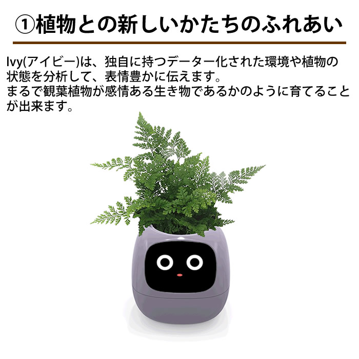 選べるおまけ付き スマートプランター アイビー Smart planter Ivy