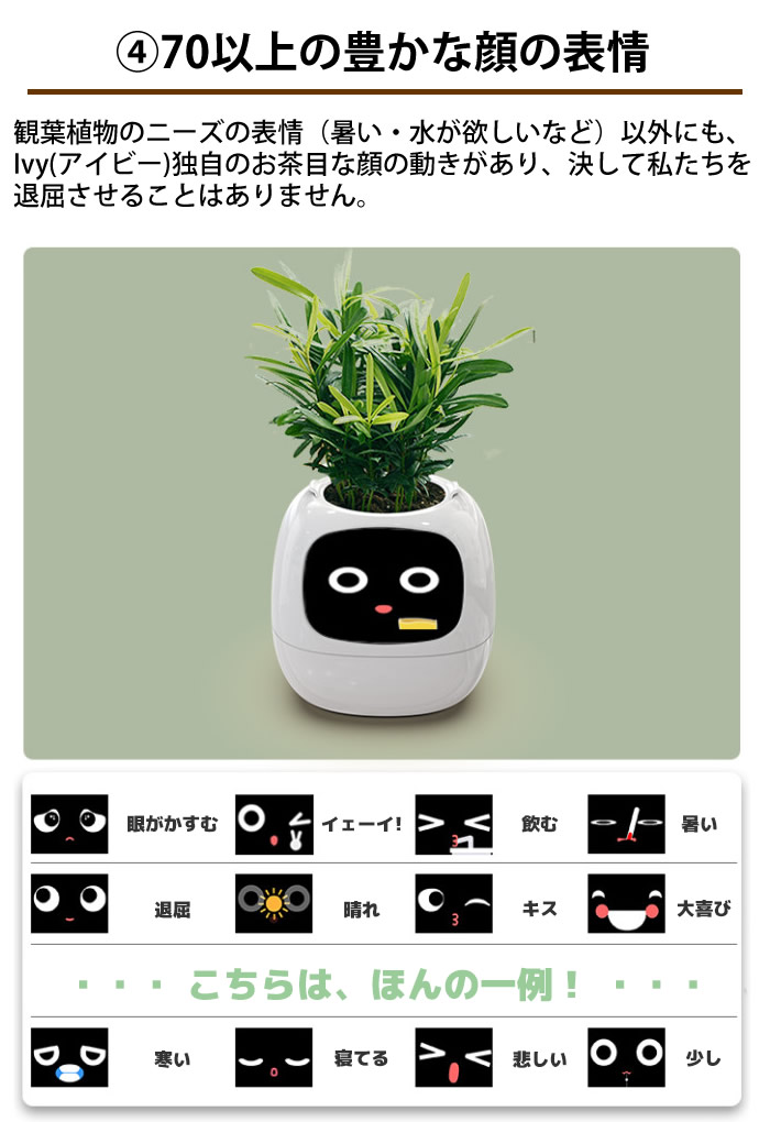 スマートプランター アイビー Smart planter Ivy 選べるおまけ付き