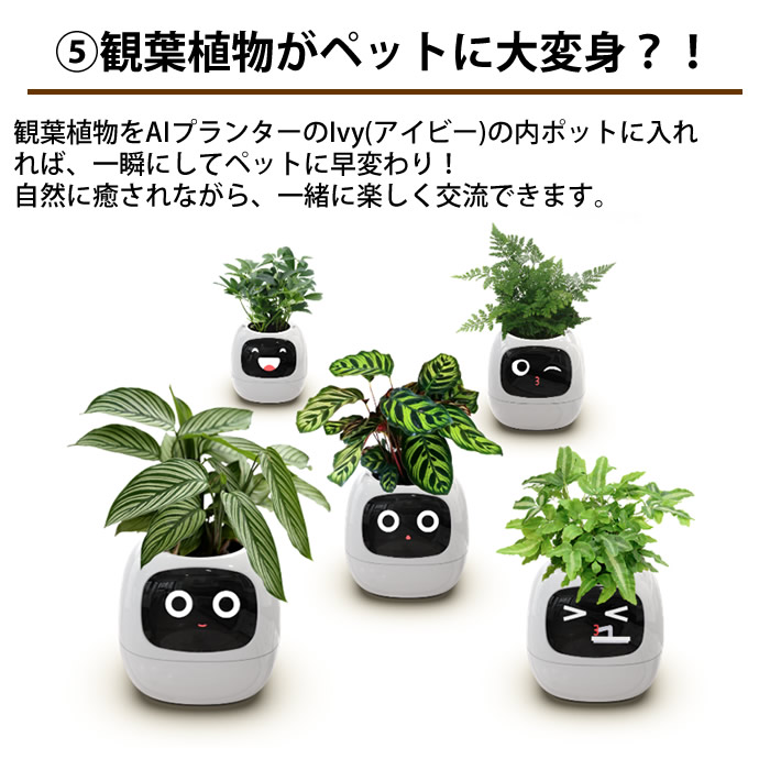 口コミ 新品 Ivy-スマートプランター (黄) 植木鉢 スマートセンサー