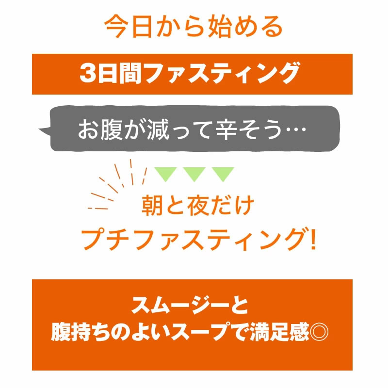 ベジエ ナチュラル ファスベジ 3daysプチファスティング (送料無料) ファスティング 断食 置き換え ダイエット 酵素 GABA プロテイン  満腹感 美味しい 手軽 簡単