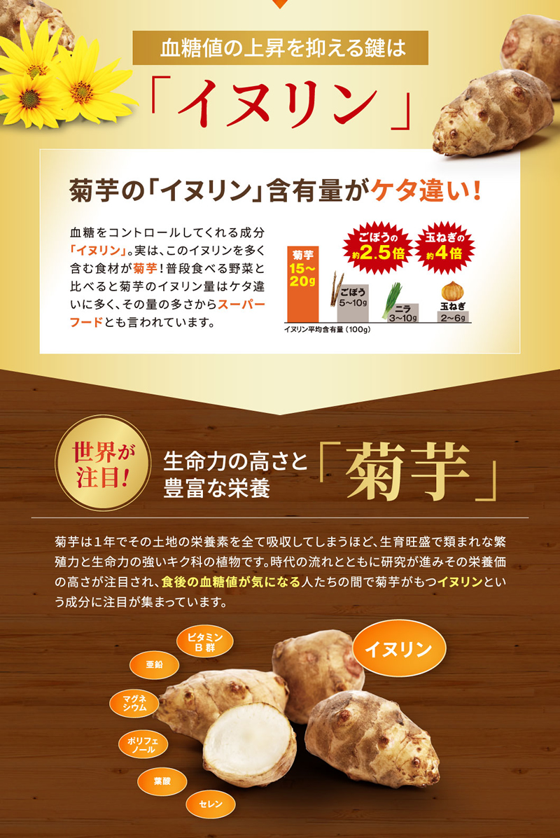 サラッとキクリン 機能性表示食品 (メール便送料無料) イヌリン 菊芋