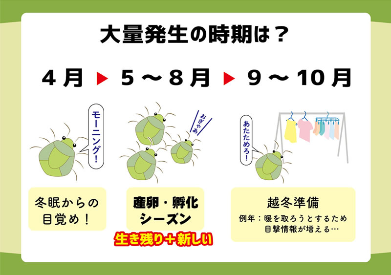 カメムシ 御免! (メール便送料無料) 忌避剤 カメムシ対策 カメムシ除け