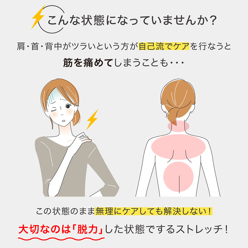 PROIDEA（プロイデア） ストレッチパートナー ハグスフィア (送料無料