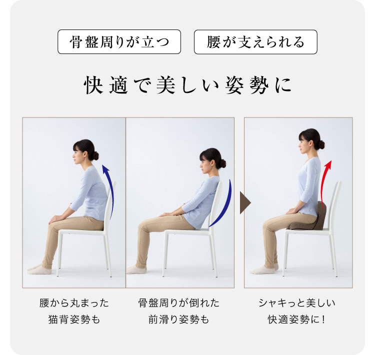 馬具マットプレミアムアドバンス (送料無料) 骨盤 姿勢 補正 猫背