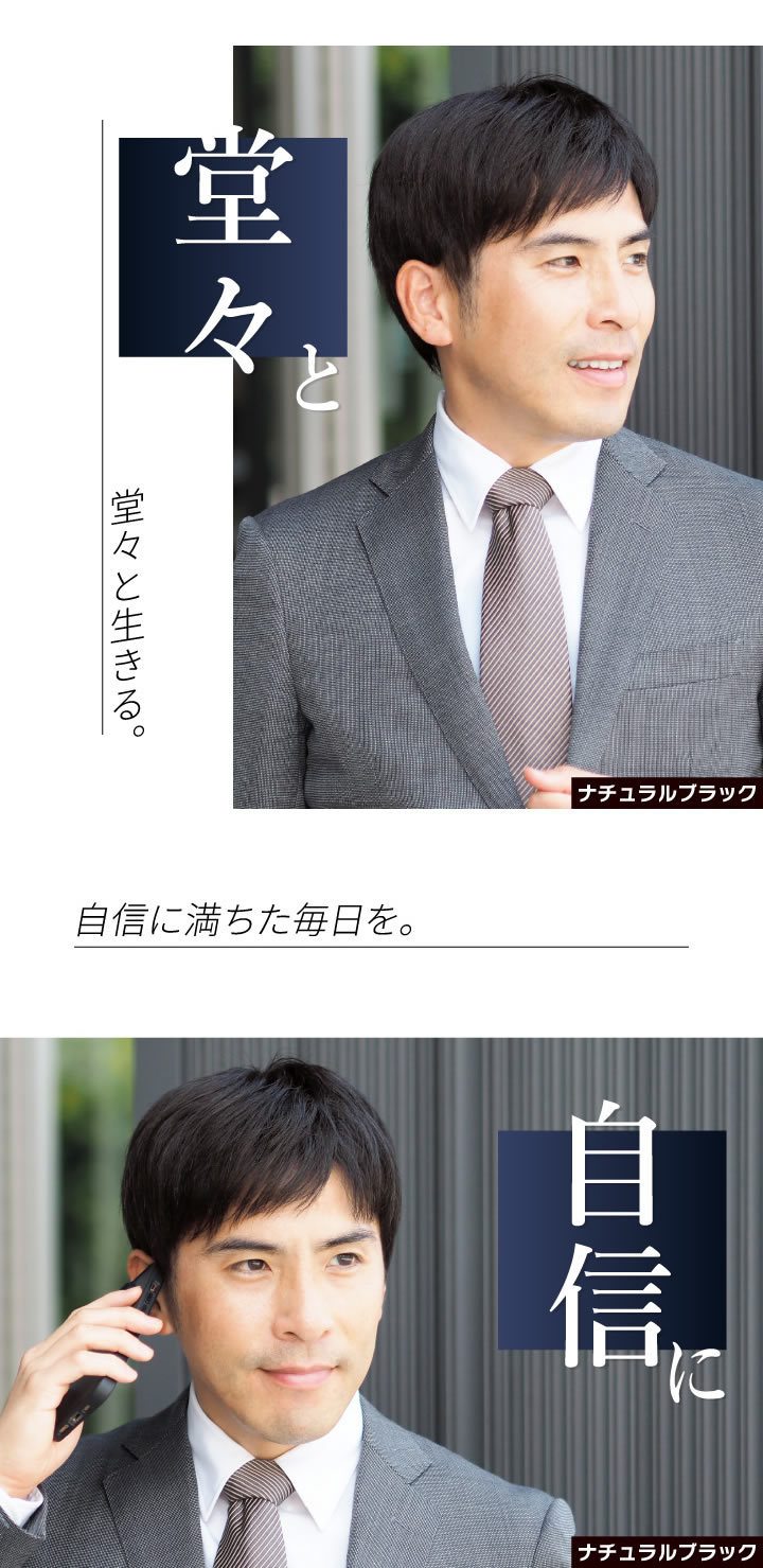 TefuRe（テフリ） 男性用ウィッグ スマートショート [DS-PTMEN-M10