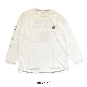 ファーム・シシュノン/Si・Shu・Non/ FARM/スケボーロンT/長袖Tシャツ（150cm・1...