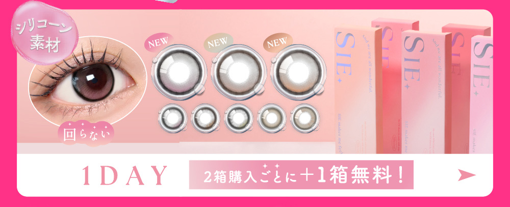 1DAY 2箱購入ごとに+1箱無料！