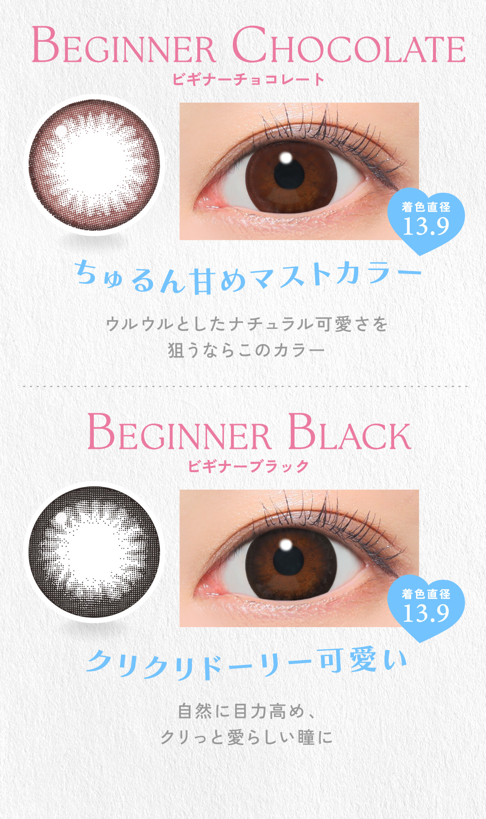 BEGINNER CHOCOLATE（ビギナーチョコレート） / BEGINNER BLACK（ビギナーブラック）