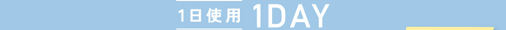 1日使用 1DAY