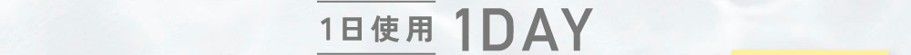 1日使用 1DAY