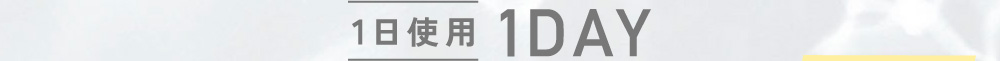 1日使用 1DAY