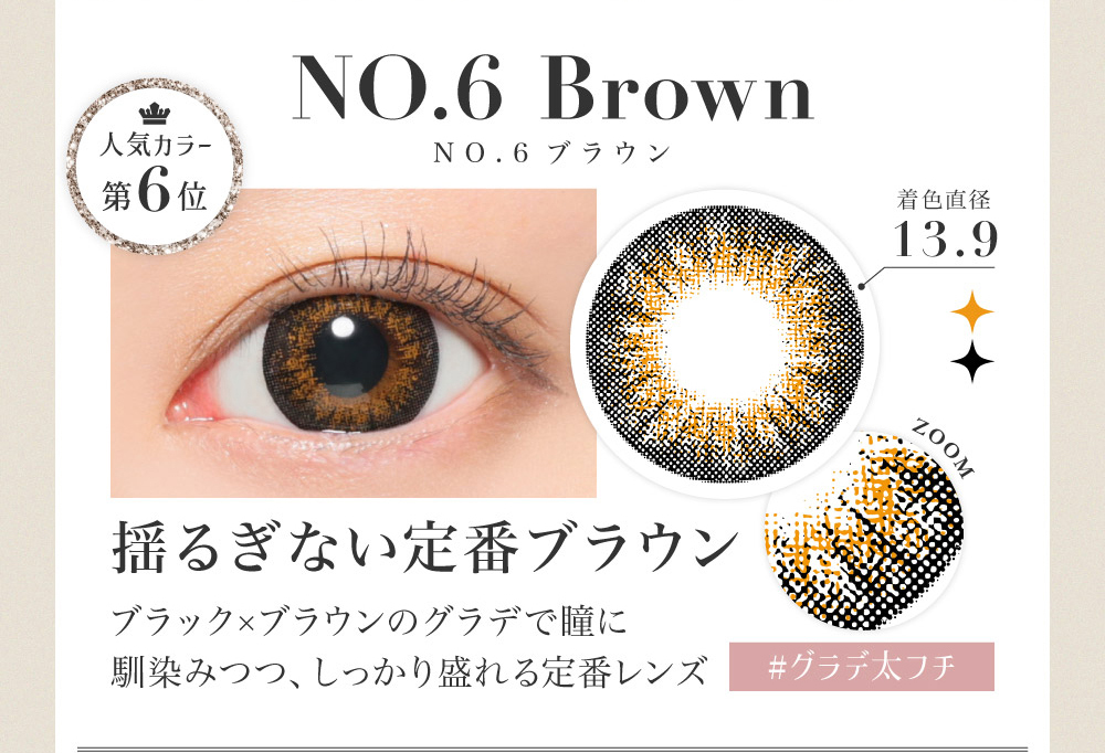 NO.6 Brown