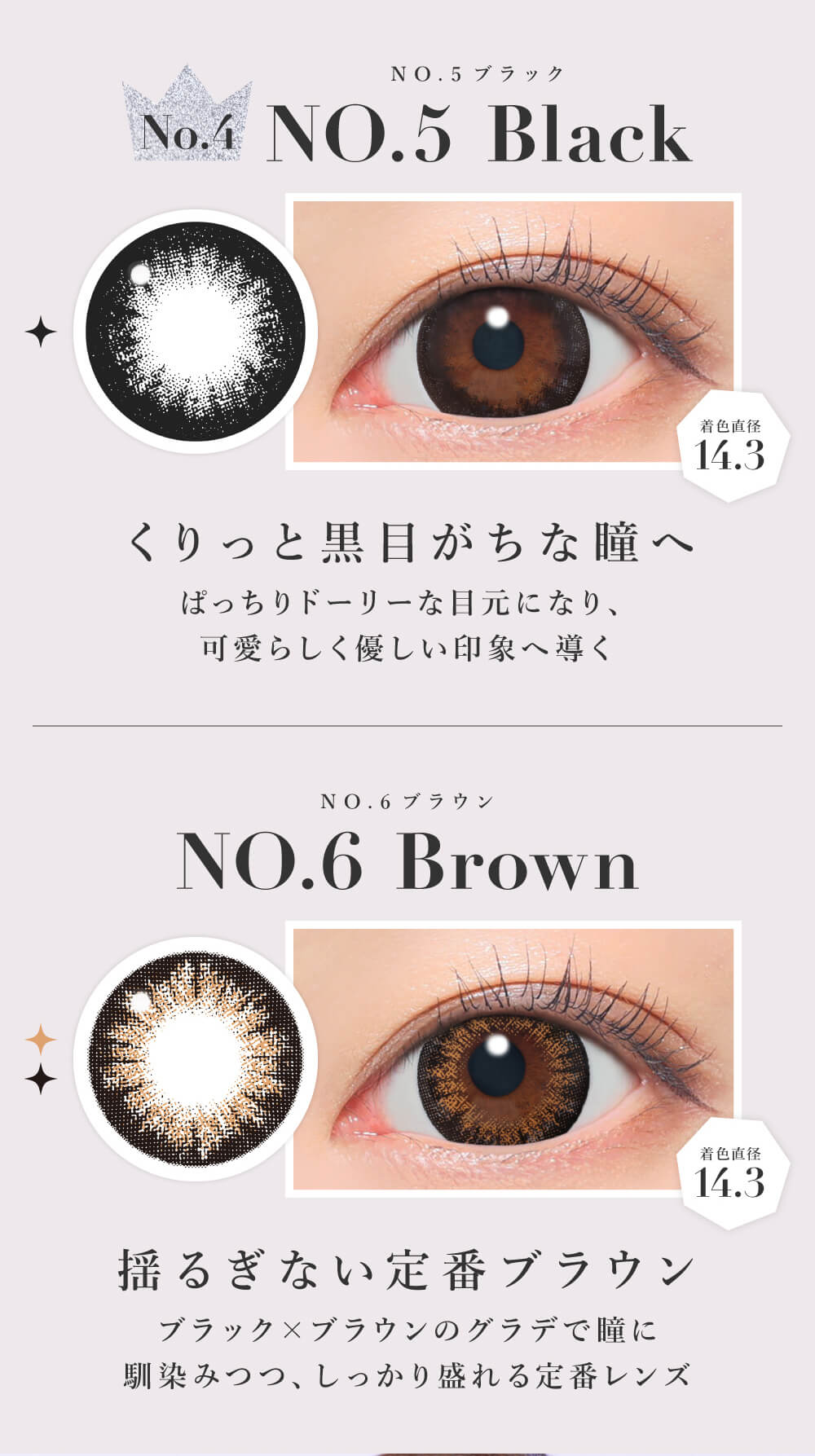 NO.5ブラック/NO.6ブラウン