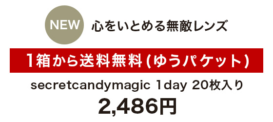 心をいとめる無敵レンズ 1箱から送料無料(ゆうパケット)