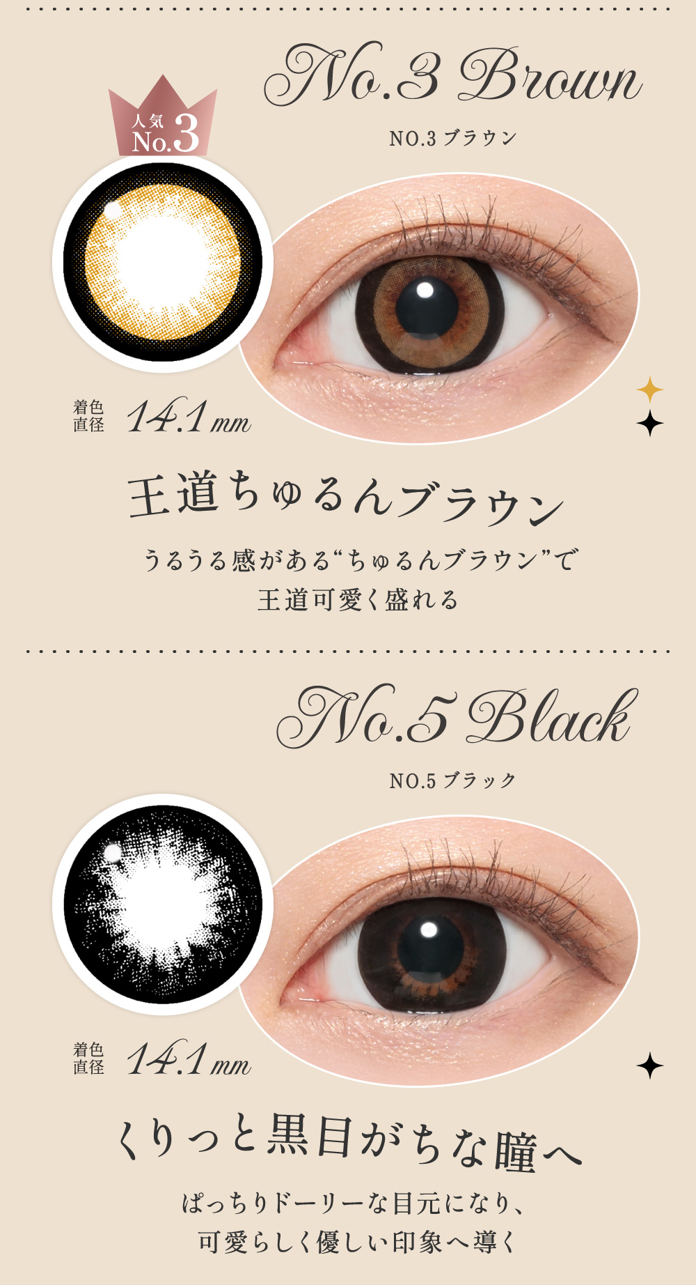 NO.3ブラウン/NO.5ブラック