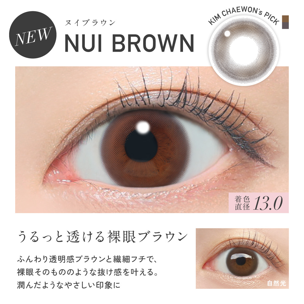公式限定 2箱購入で＋1箱無料 カラコン ワンデー 30枚 ReVIA 1day CIRCLE レヴィア サークル ブラウン 茶色 度付き 度あり 度なし ナチュラル 自然 UVカット | ReVIA | 06