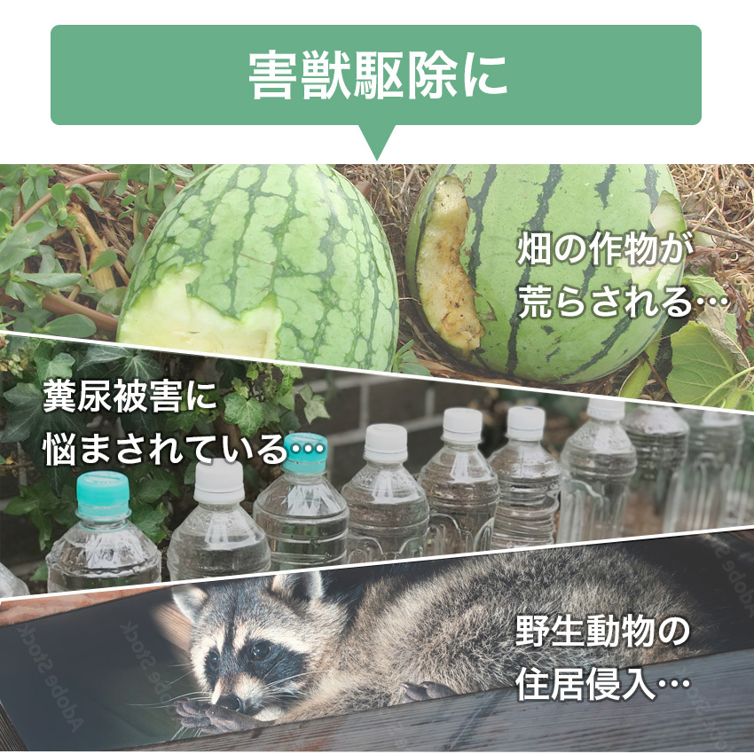 捕獲機 捕獲器 猫 犬 捕獲 Mサイズ 踏板式 迷子猫 迷子 野良 野生 動物