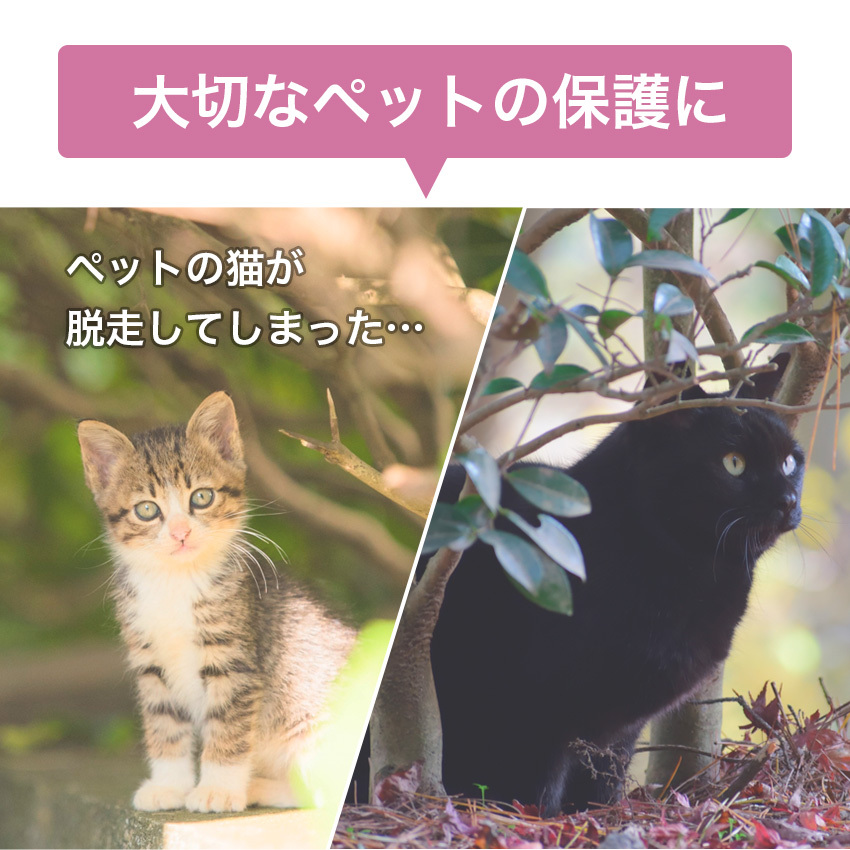 捕獲機 捕獲器 猫 犬 捕獲 Mサイズ 踏板式 迷子猫 迷子 野良 野生 動物