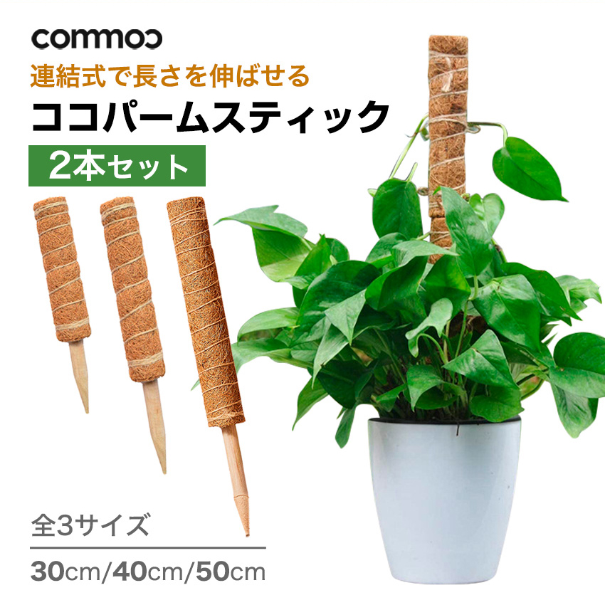 ココパームスティック 2本セット ココ スティック 観賞植物 植物 支柱 おしゃれ モンステラ 