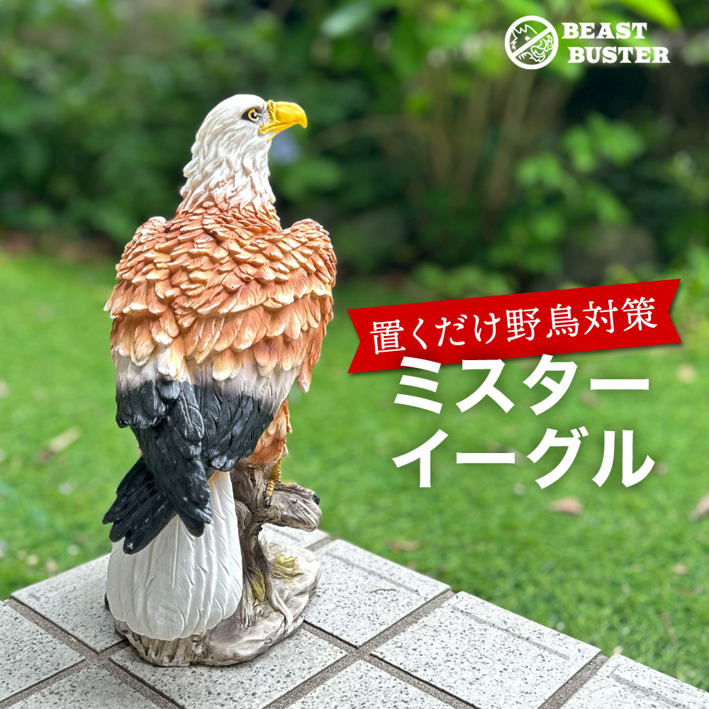 ミスターイーグル 鷹 鷲 タカ ワシ 置物 カラスやスズメなどの野鳥に効果絶大 鳥獣駆除 鳥よけ 害鳥 害獣対策 置き物 すずめ ムクドリ ベランダ  鳥除け 鳥対策