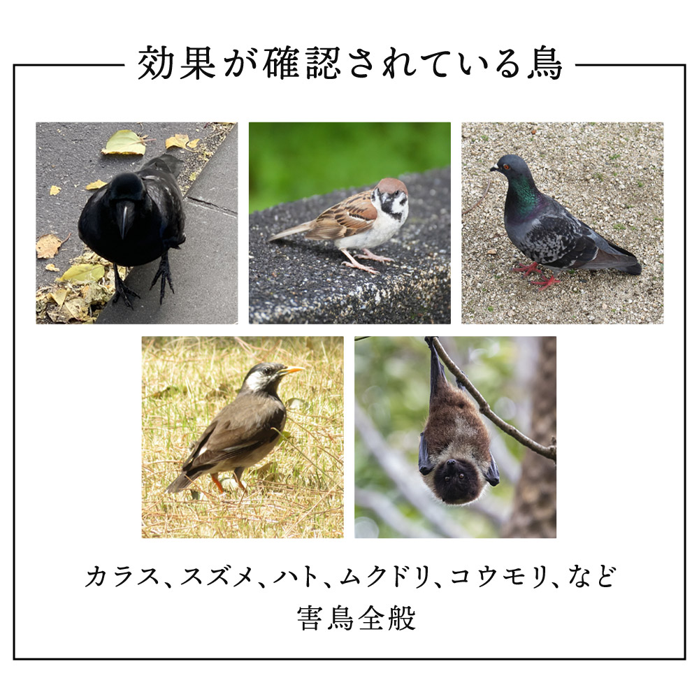 ミスターイーグル 鷹 置物 鳥獣駆除 害獣 鳥獣 駆除 かかし カラス ムクドリ 畑 田んぼ 家庭菜園 果物 野菜 ガーデニング 家庭菜園 鳥よけ 置き物 カカシ