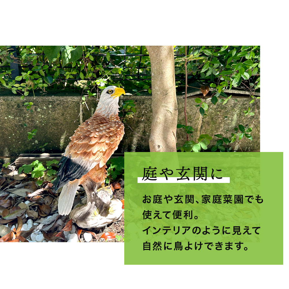 ミスターイーグル 鷹 鷲 タカ ワシ 置物 カラスやスズメなどの野鳥に効果絶大 鳥獣駆除 鳥よけ 害鳥 害獣対策 置き物 すずめ ムクドリ ベランダ  鳥除け 鳥対策