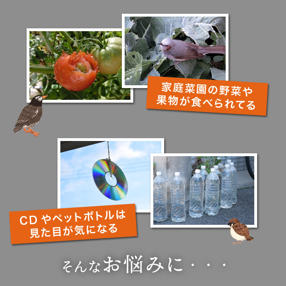 ミスターイーグル 鷹 置物 鳥獣駆除 害獣 鳥獣 駆除 かかし カラス ムクドリ 畑 田んぼ 家庭菜園 果物 野菜 ガーデニング 家庭菜園 鳥よけ 置き物 カカシ