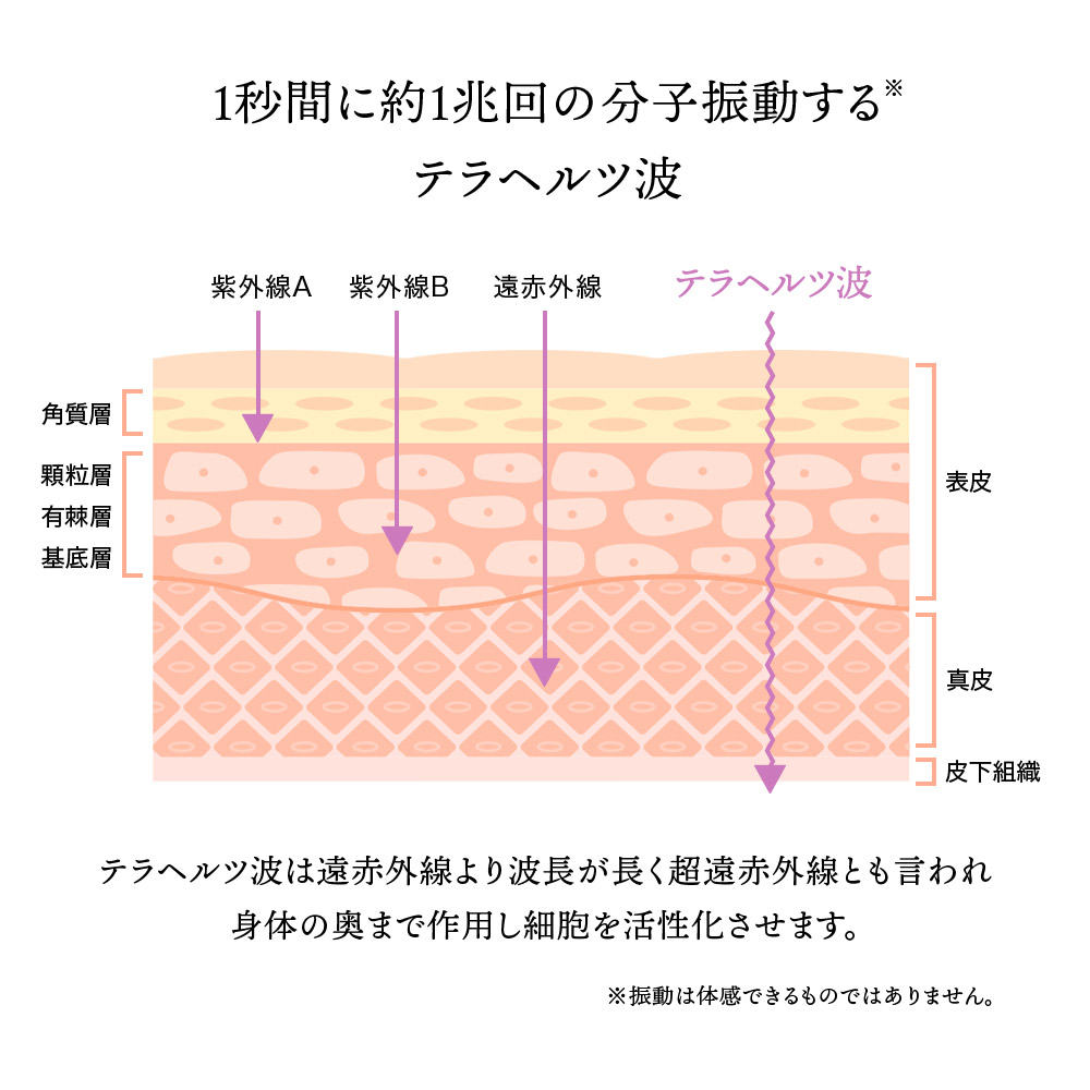 かっさ カッサ かっさプレート かっさマッサー...の詳細画像4