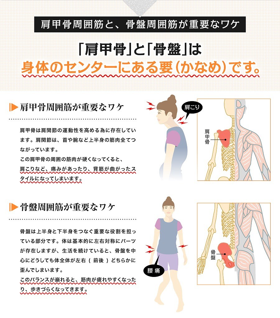 ストレッチハーツ つらい 肩こり 腰 身体のゆがみに 肩甲骨 骨盤をはがしでコリをとる 保坂直樹プロヂュース ヨガ ストレッチ Stretch H Candy Store 通販 Yahoo ショッピング